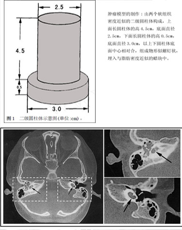 《影像診斷與介入放射學》簡介